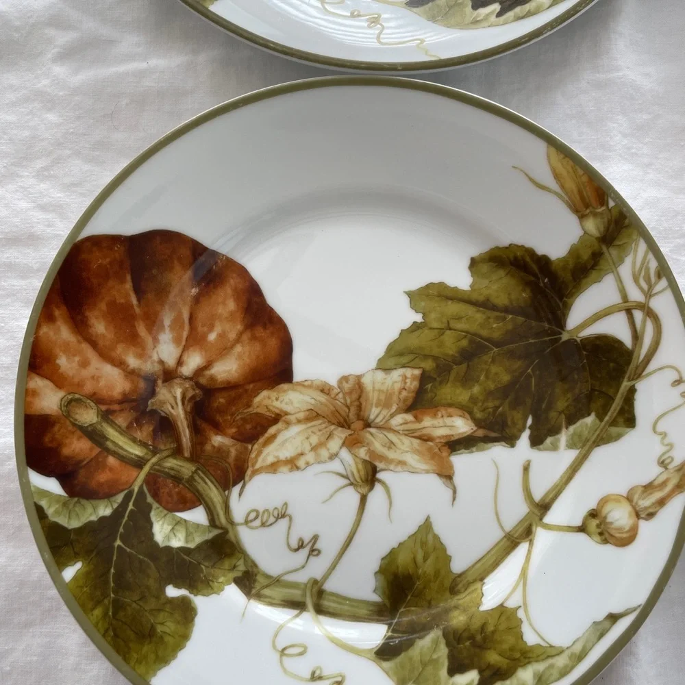 Williams Sonoma Botanical Pumpkin Salad Dessert Plates 8.5” diameter (Set of 4)